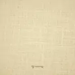 True Value Fluent Slub Beige Shirt / Kurta Fabric (Width 58 Inch)