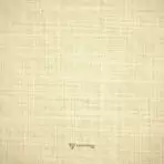 True Value Fluent Slub Beige Shirt / Kurta Fabric (Width 58 Inch)