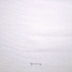 Self Woven White Textured Giza Cotton Shirt / Kurta Fabric (Width 58 Inch)